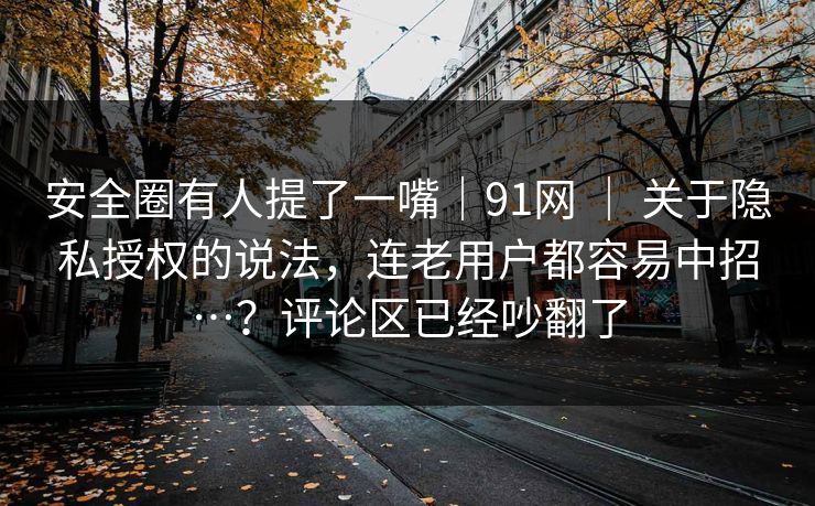 安全圈有人提了一嘴｜91网 ｜ 关于隐私授权的说法，连老用户都容易中招…？评论区已经吵翻了